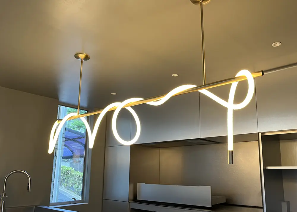 LUKE LAMP CO. 6ft Dual suspension (end free) ランプ