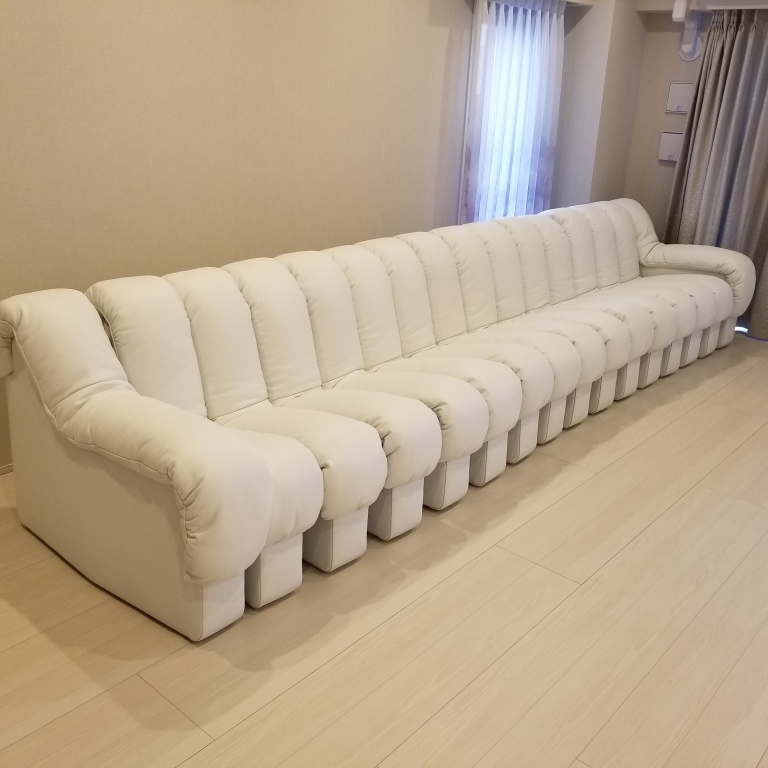 スイス de sede 220万「DS-600」スネーク ソファ5連 デセデ