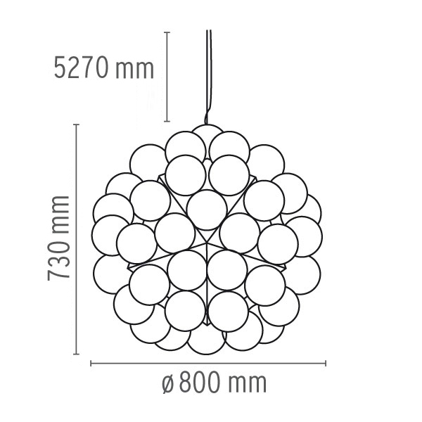 taraxacum88s_drawing