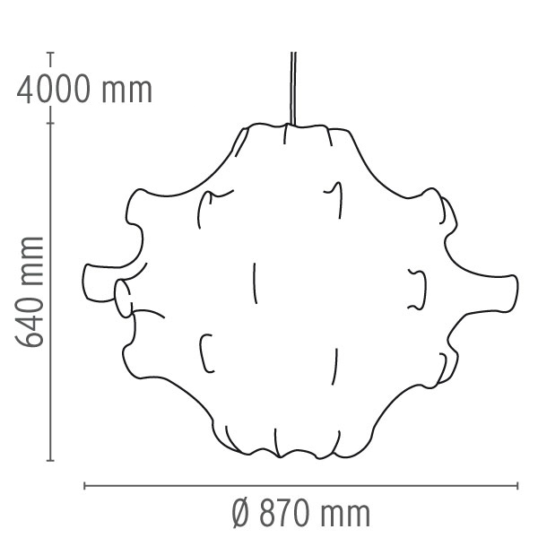 taraxacum_drawing