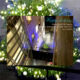 Season’s greetings 2022