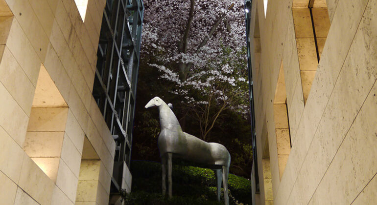 Spring has come to Tokyo Design Center!