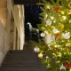 Season’s Greetings & Encounters with new design fields (季節のご挨拶 & 新しいデザインエリアとの出会い)