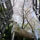 Spring has come to Tokyo Design Center 2023!