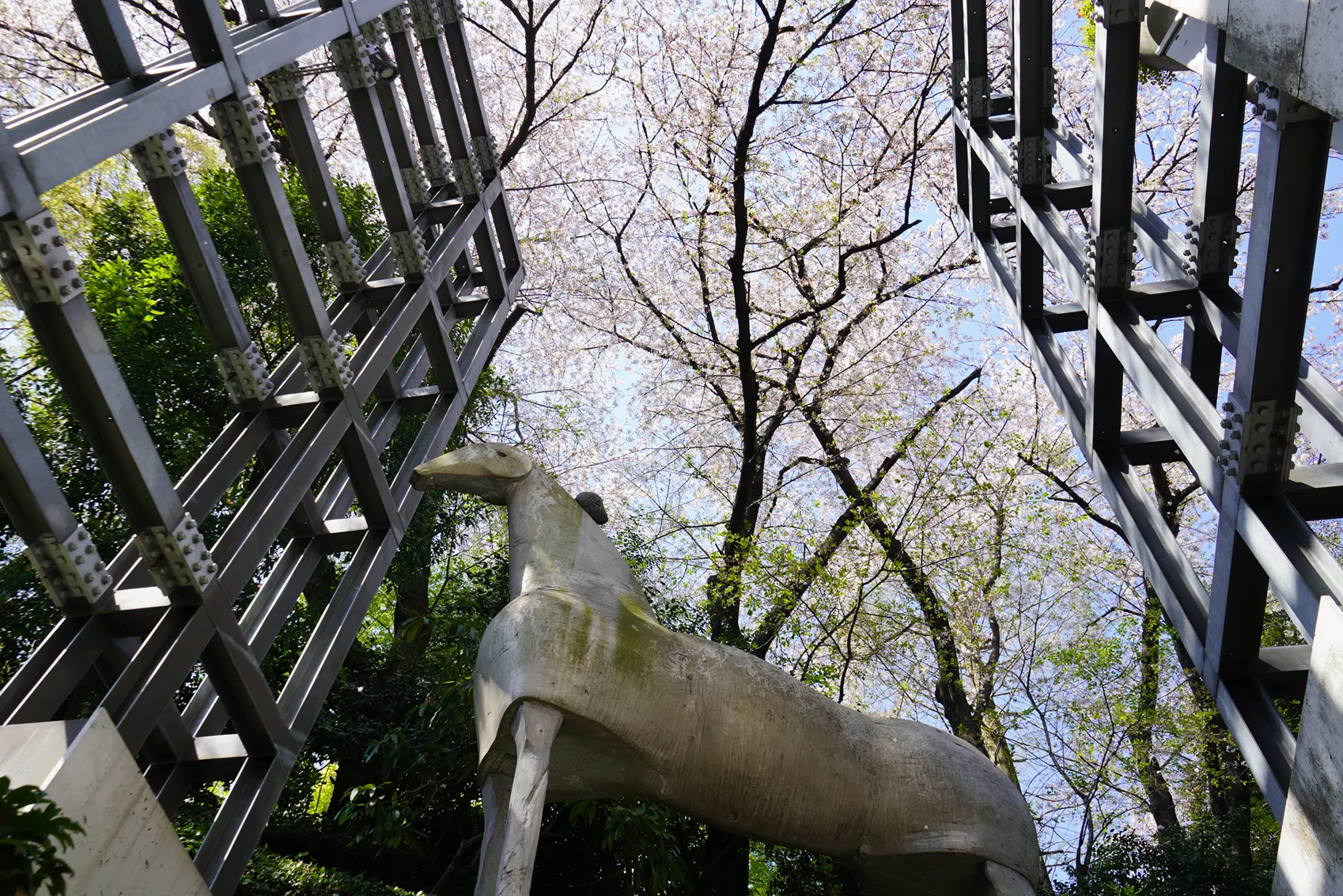 東京デザインセンターの馬の彫刻と桜