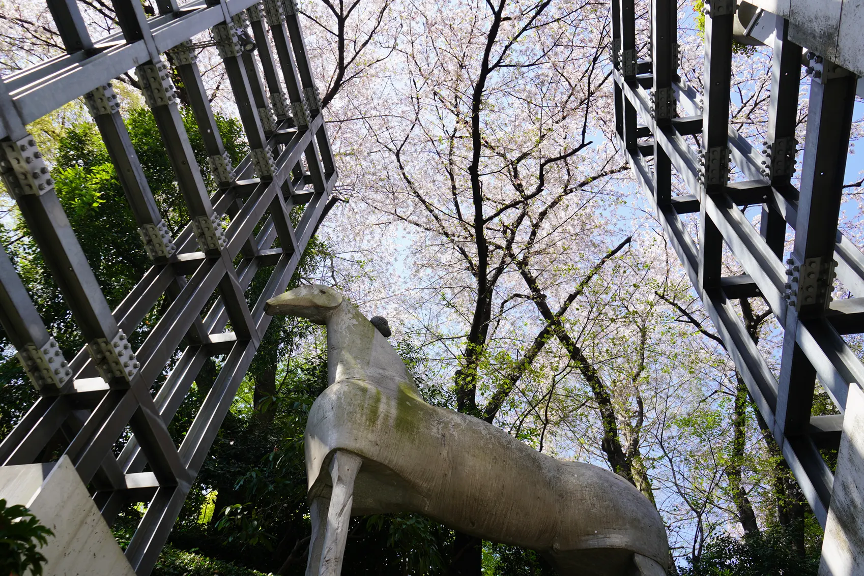 東京デザインセンターの馬の彫刻と桜 東京デザインセンターの馬の彫刻と桜