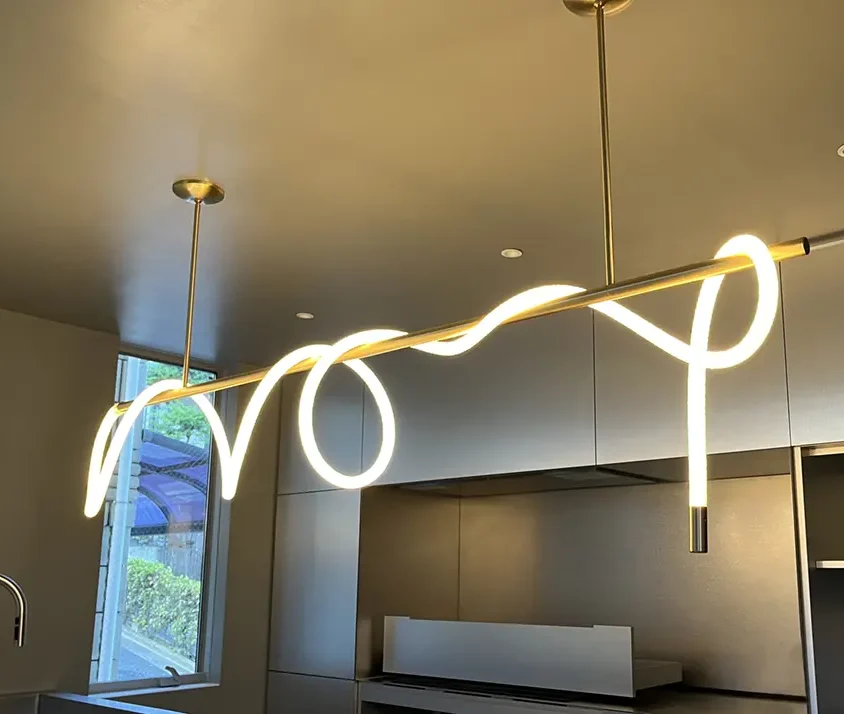 LUKE LAMP CO. 6ft Dual suspension (end free) ランプ