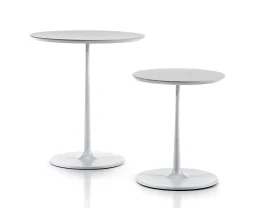 TONDO<span class="kana">(トンド)</span>