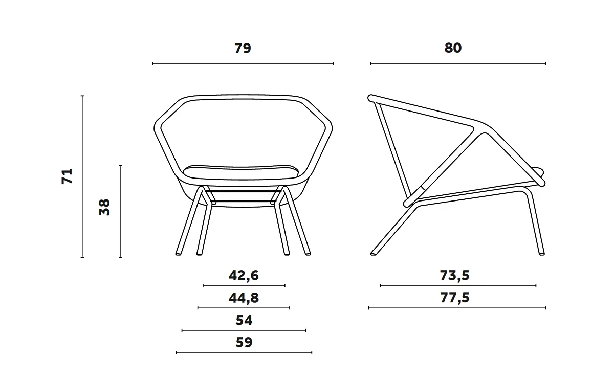 drawing_miniforms_colony_202609
